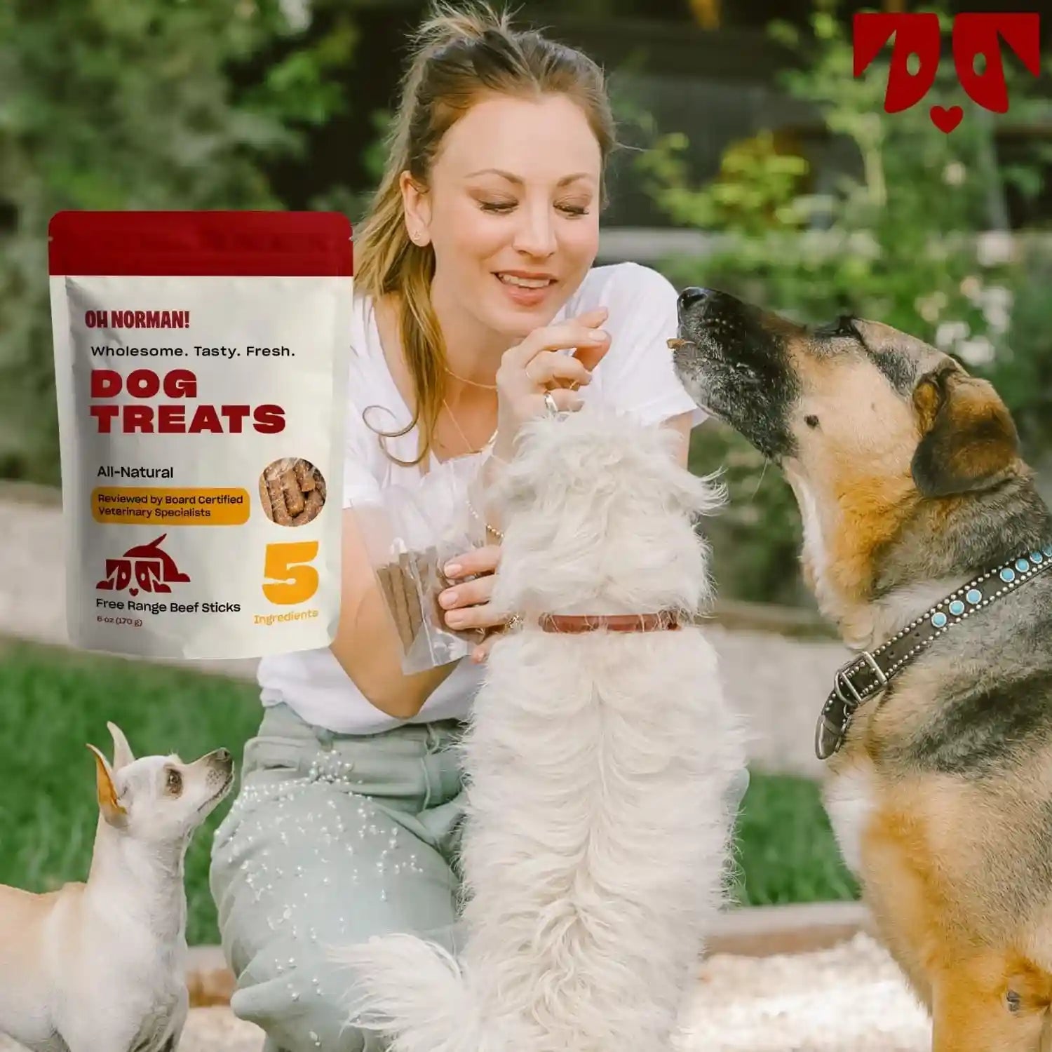 oh-norman-soft-beef-jerky-dog-treats-free-range-beef-6-oz-air-dried-free-range-beef-jerky-with-limited-ingredients-gentle-on-sensitive-stomachs-great-for-training-daily-rewards