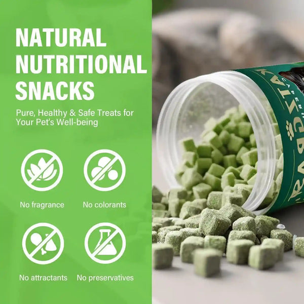 Cat Grass Treats for Indoor Cats, Crunchy Wheatgrass Snacks for Cats, 120G | Ready-To-Eat Wheatgrass Treats,Supports Natural Digestive Health & Hairball Passage,Grain-Free & Crunchy for Dental Care3