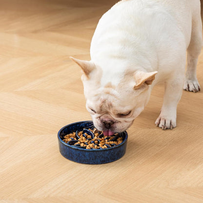 Vancasso Ceramic Slow Feeder Dog Bowls, Puzzle Dog Food Bowls with Floral Maze, anti -Slip Pet Food Dish for Small Breed, 0.6 Cups, Blue7