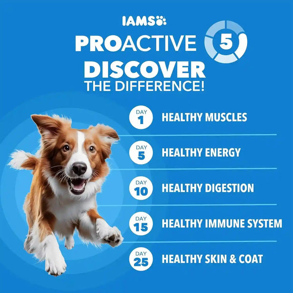 IAMS Proactive Health Healthy Weight Dry Dog Food, Chicken, 29.1 Lb | Real Chicken #1 Ingredient, L-Carnitine for Metabolism, Strong Muscles, No Fillers or Artificial Flavors, Vet-Recommended2