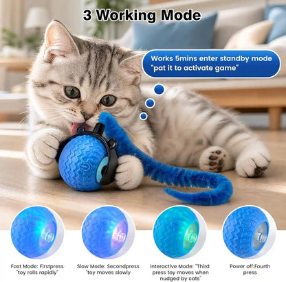 Automatic Cat Toy Ball – Interactive Rolling Ball for Indoor Cats, 3 Modes Motion Activated Self-Play Cat Toy with Tail, Eco-Friendly Cat Exercise Ball to Keep Your Cat Busy5