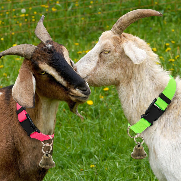 3 Pack Goat Collars with Loud Bells, Anti-Lost Grazing Pet Collar | Adjustable Collar & Copper Bells Small Farm Animals Accessories for Livestock, Sheep, Calf (13.8"-20.9")5