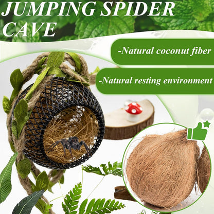 Jumping Spider Habitat Accessories Enclosure Habitat Accessories Jumping Spider Web Climbing and Feeding Platforms with Magnets for Small Insects Critters3