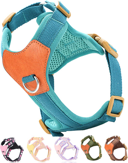 Green Xs Dog Harness for Small Dogs, No Pull Dog Harness with 2 Leash Clips, Puppy Harness, Dog Vest Harness(Green, XS)8
