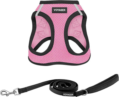 Best Pet Supplies Voyager Step-In Air All Weather Mesh Harness and Reflective Dog 5Ft Leash Combo with Neoprene Handle, for Small, Medium and Large Breed Puppies - Baby Blue, Small33