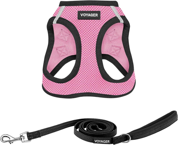 Best Pet Supplies Voyager Step-In Air All Weather Mesh Harness and Reflective Dog 5Ft Leash Combo with Neoprene Handle, for Small, Medium and Large Breed Puppies - Baby Blue, Small33