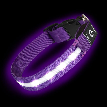Super Bright LED Dog Collar, Waterproof Light up Collars(Green, Medium) | Lighted Dog Collar with Adjustable Fit, Soft Nylon Comfort, USB-C Rechargeable, Glow in the Dark Visibility for Night Walks9