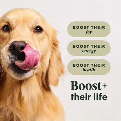 Instinct Rawboost Gut Health, Dry Dog Food + Freeze Dried, Chicken, 3.5 Lb.4
