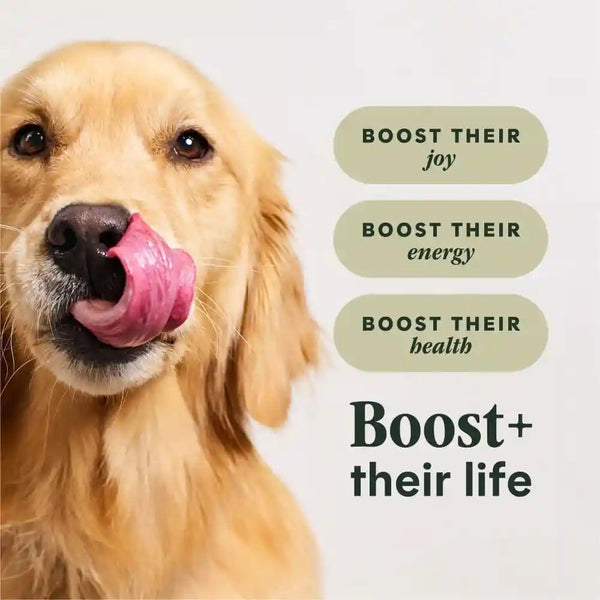 Instinct Rawboost Gut Health, Dry Dog Food + Freeze Dried, Chicken, 3.5 Lb.4
