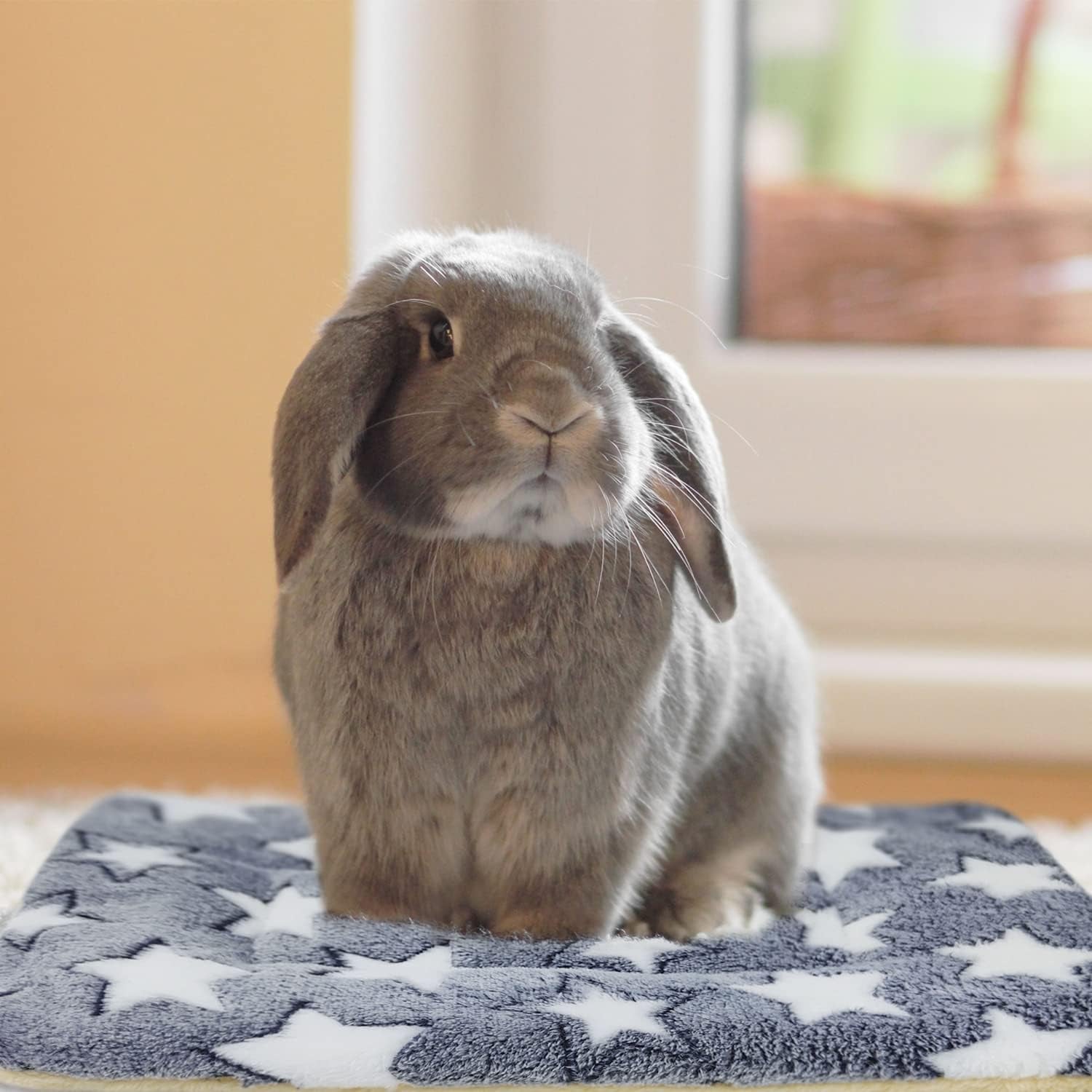 3pcs-rabbit-bed-soft-bunny-bedding-fleece-guinea-pig-blanket-warm-plush-sleeping-mat-cage-liner-for-hamster-ferret-squirrel-hedgehog-rat