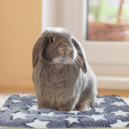 3PCS Rabbit Bed, Soft Bunny Bedding, Fleece Guinea Pig Blanket | Warm Plush Sleeping Mat, Cage Liner for Hamster Ferret Squirrel Hedgehog Rat4