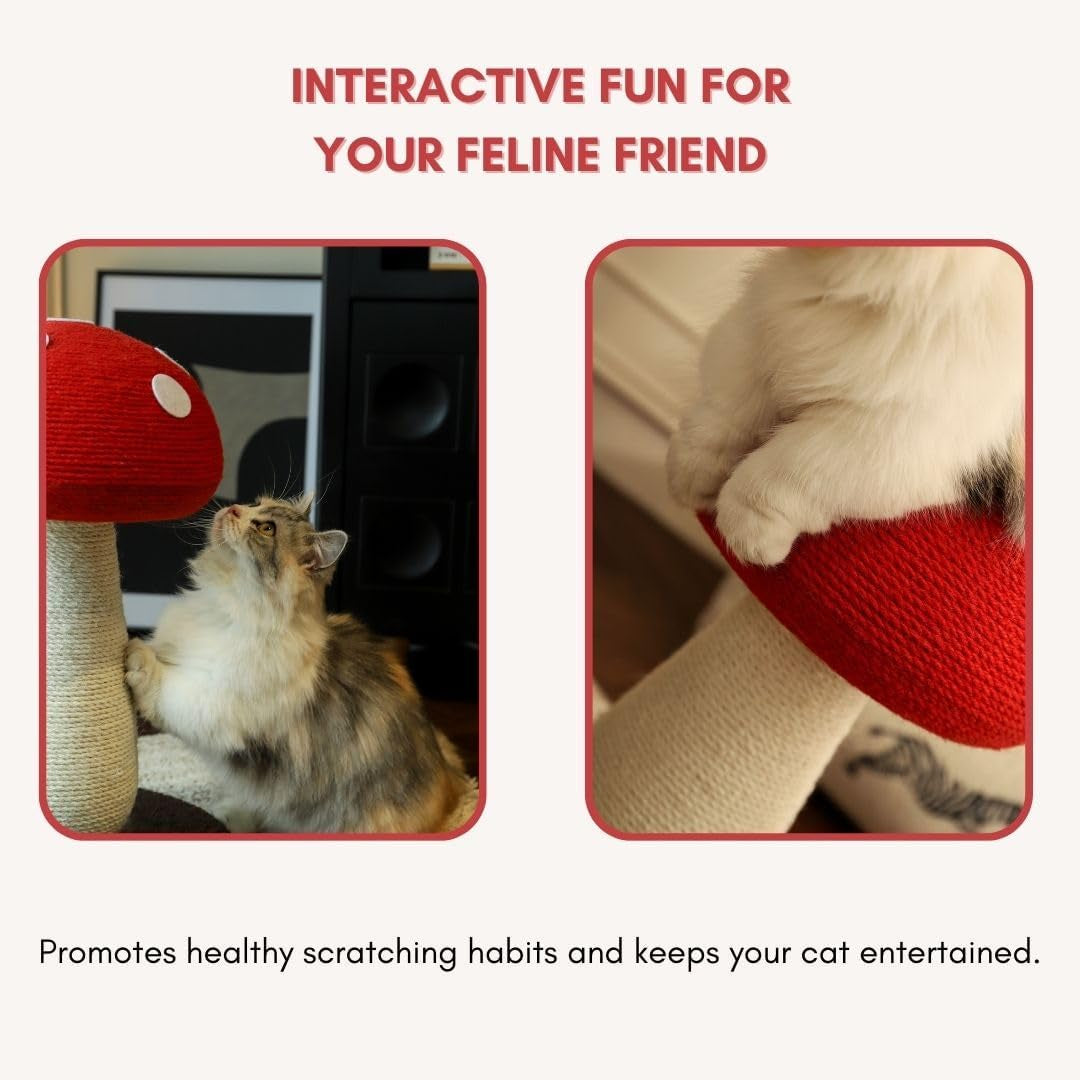 mushroom-cat-scratching-post-unique-design-sisal-wrapped-ideal-for-medium-and-small-cat-cat-scratcher-cute-with-100-sisal-covered-scratching-post