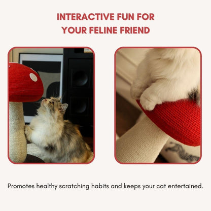 Mushroom Cat Scratching Post - Unique Design, Sisal-Wrapped, Ideal for Medium and Small Cat, Cat Scratcher Cute with 100% Sisal Covered Scratching Post5