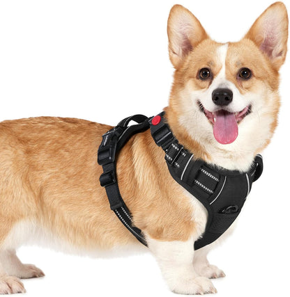 Rabbitgoo Dog Harness Medium Sized, Updated Easy on & off with 3 Buckles | No Pull No Choke, Walking with 2 Clips and Handle, Adjustable Soft Reflective, Blue, Medium39