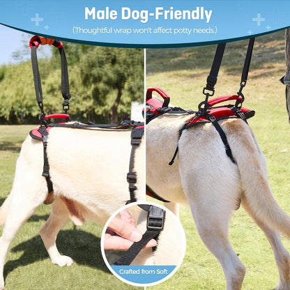 Dog Lifting Harness for Medium Dogs, Dual Handle Dog Support Harness for Daily Walking Assistance, Male Dog-Friendly, Breathable & Easy on Mobility Aid, Red, M3