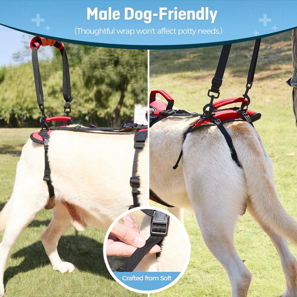 Dog Lifting Harness for Medium Dogs, Dual Handle Dog Support Harness for Daily Walking Assistance, Male Dog-Friendly, Breathable & Easy on Mobility Aid, Red, M3
