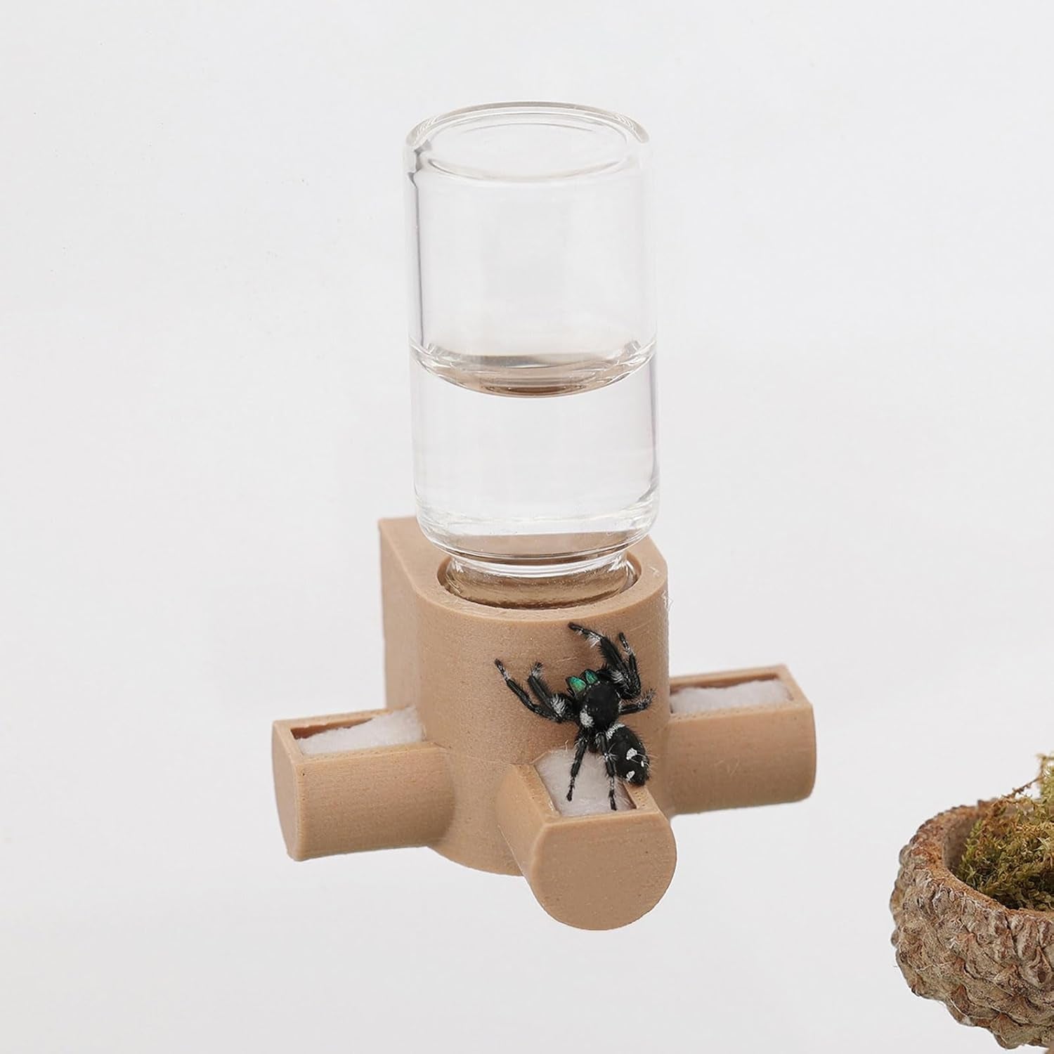 jumping-spider-water-dispenser-magnetic-hanging-feeder-suitable-for-jumping-spiders-tarantulas-praying-mantises-arboreal-animals-and-other-small-animal-enclosure-accessories-5ml-wooden