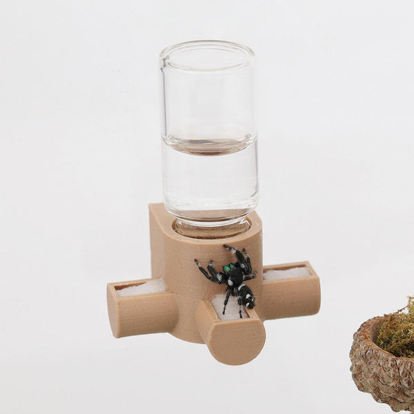 Jumping Spider Water Dispenser, Magnetic Hanging Feeder,Suitable for Jumping Spiders,Tarantulas, Praying Mantises,Arboreal Animals, and Other Small Animal Enclosure Accessories,5Ml (Wooden)1