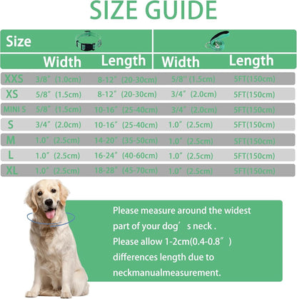 Reflective Dog Collar with Safety Locking Buckle, Adjustable Soft Breathable Nylon Collars for Small, Medium and Large Dogs(Collar+Leash XS Width 5/8" Turquoise) | Adjustable Soft Breathable Nylon Collars for Small, Medium and Large Dogs (XS Width 5/8" Turquoise)4