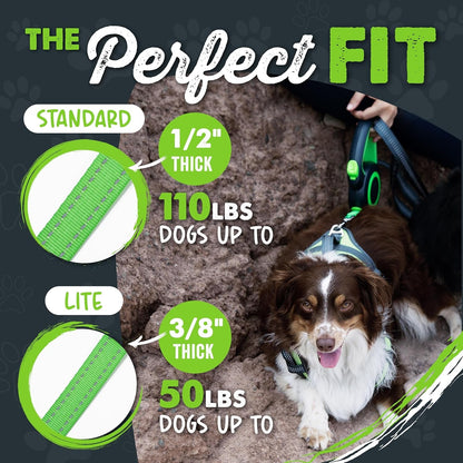 Mighty Paw Retractable Dog Leash 2.0, 16 Ft, for Medium Dogs, Heavy Duty | Reflective Nylon Tape, Tangle-Free Swivel Clip, One-Touch Quick-Lock Brake, Reflective Ring, Anti-Slip Handle2