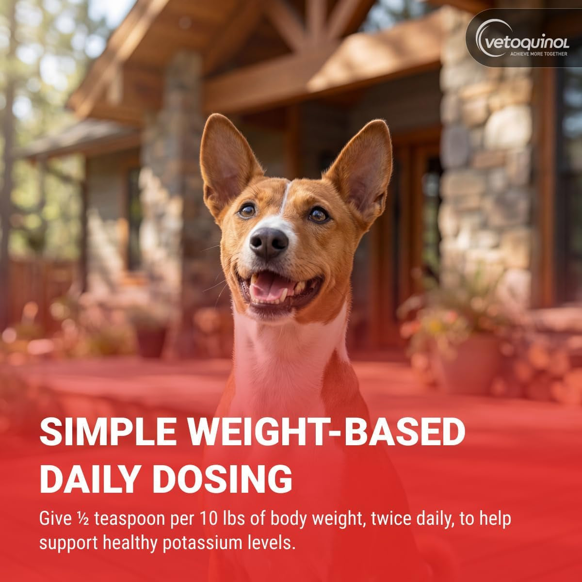vetoquinol-renal-k-potassium-supplement-for-dogs-cats-supports-managing-potassium-levels-palatable-gel-with-maple-flavor-5oz