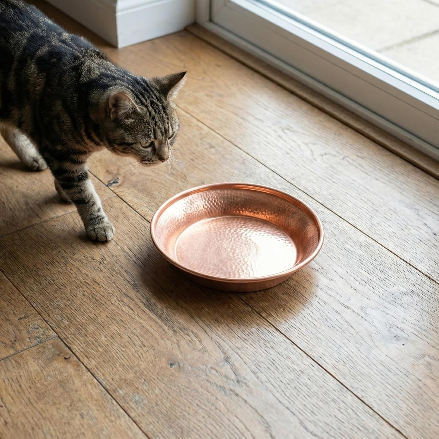 vicasky-copper-pet-bowl-5-inch-luxury-hammered-cat-and-dog-food-water-dish-pet-feeding-bowl-decorative-for-kittens-puppies