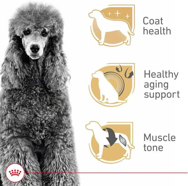 ROYAL CANIN Breed Breed Health Nutrition Poodle Adult Dry Dog Food5