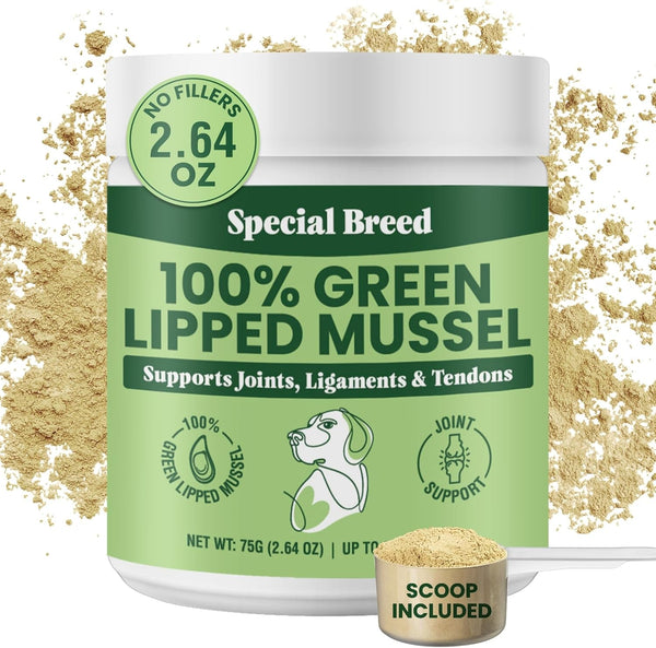 Green Lipped Mussel Powder for Dogs & Cats - 100% New Zealand Green Lipped Mussels - Natural Hip & Joint Supplement for Joints, Tendons, Ligaments, Muscles - 75 Grams - up to 250 Servings1