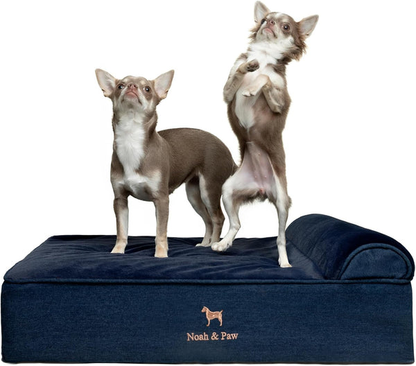 NOAH & PAW Large Dog Bed, 35X25X8.7 Inch, Orthopedic Dog Beds, Eggshell Memory Foam Infused with Cooling Gel, Water Resistant, Machine Washable, Includes Inner Cover (Velvet Collection)15