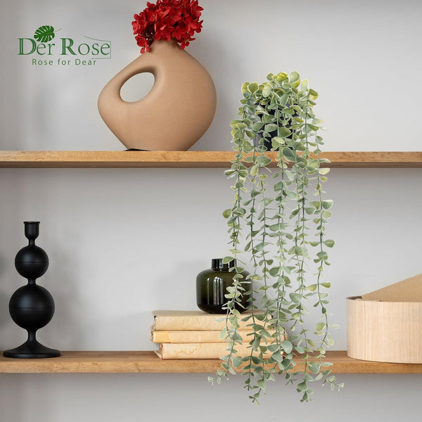 Fake Eucalyptus Hanging Plant for Boho Bathroom Wall Art Decor | Vintage Cascading Greenery Adds Vertical Texture, Atificial Farmhouse Plants Brings Natural Charm to Room, Shelf Decor6