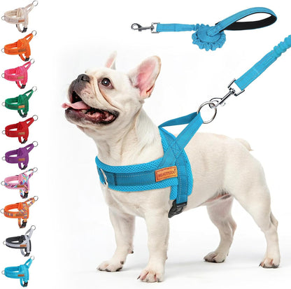 BEAUTYZOO Dog Harness No Pull, Quick Fit Dog Harness and Leash Set, Escape Proof Vest Harness with Soft Handle, Reflective Breathable Mesh Padding Harness for Medium Size Dog Training Walking, Beige M9