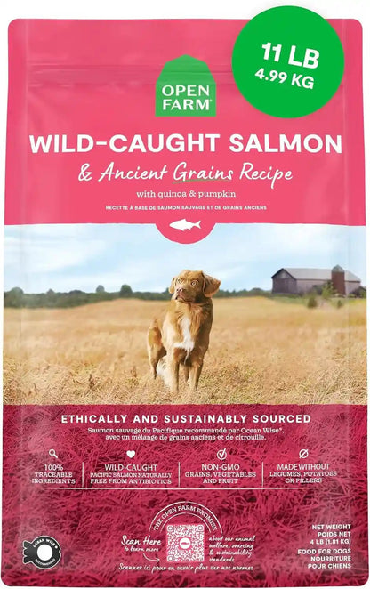 Open Farm Ancient Grains Dry Dog Food, Wild Caught Salmon Kibble, 22Lb Bag | All Life Stages, All Breed Sizes, Protein-Rich & Nutrient Dense, 100% Traceable Ingredients, Non-Gmo Fruits & Veggies.17