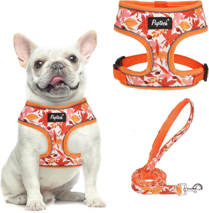 PUPTECK Soft Mesh Dog Harness Small Sized and Leash Set Pet Puppy Cat Comfort Padded Vest No Pull Harnesses, Beige, S72