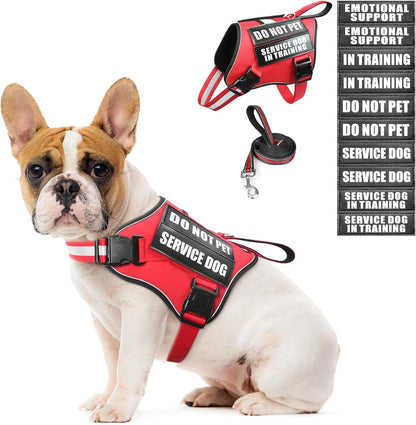 Service Dog Vest Harness and Leash Set+10 Patches,No Pull&Adjustable Reflective Dog Harness with Soft Padded Handle for Training/Everyday,Fit Small/Medium/Large/Extra-Large Dogs(Red XL) | No Pull&Adjustable Reflective Service Dog Harness Large Sized,Dog Leash with 2 Soft Padded Handles,For Training Working12