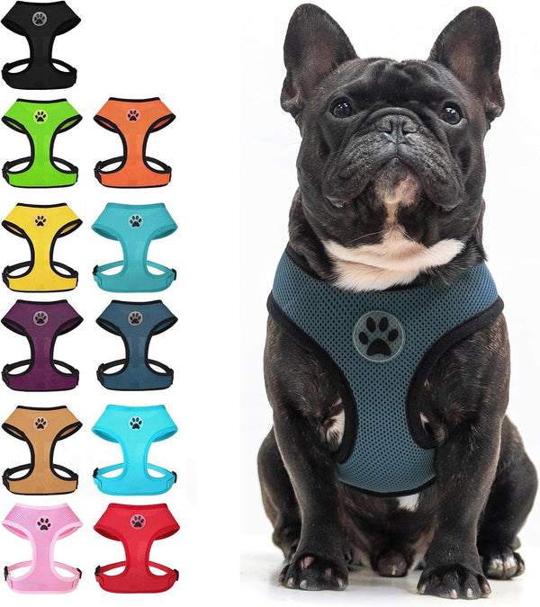 BINGPET Small Dog Harness, No Pull Dog Harness Small Sized Dogs, Soft Light Breathable Mesh Puppy Vest with Safety Buckle-Adjustable Step in Pet Harnesses for Easy Walking, Running, Training26