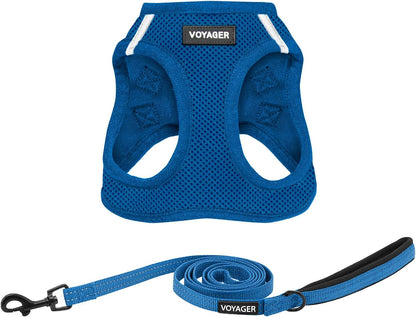 Best Pet Supplies Voyager Step-In Air All Weather Mesh Harness and Reflective Dog 5Ft Leash Combo with Neoprene Handle, for Small, Medium and Large Breed Puppies - Baby Blue, Small14