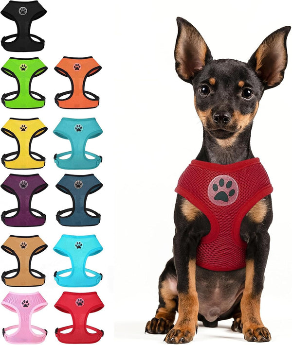 BINGPET Small Dog Harness, No Pull Dog Harness Small Sized Dogs, Soft Light Breathable Mesh Puppy Vest with Safety Buckle-Adjustable Step in Pet Harnesses for Easy Walking, Running, Training22