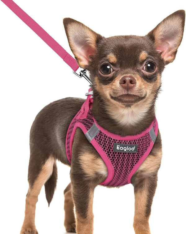 Eagloo Small Dog Harness and Leash Set, Step in Small Sized Puppy Pet Vest | Light, Soft, Breathable Air Mesh, Easy on and off with Hook & Loop, Reflective for Safe Walking, Pink, S51