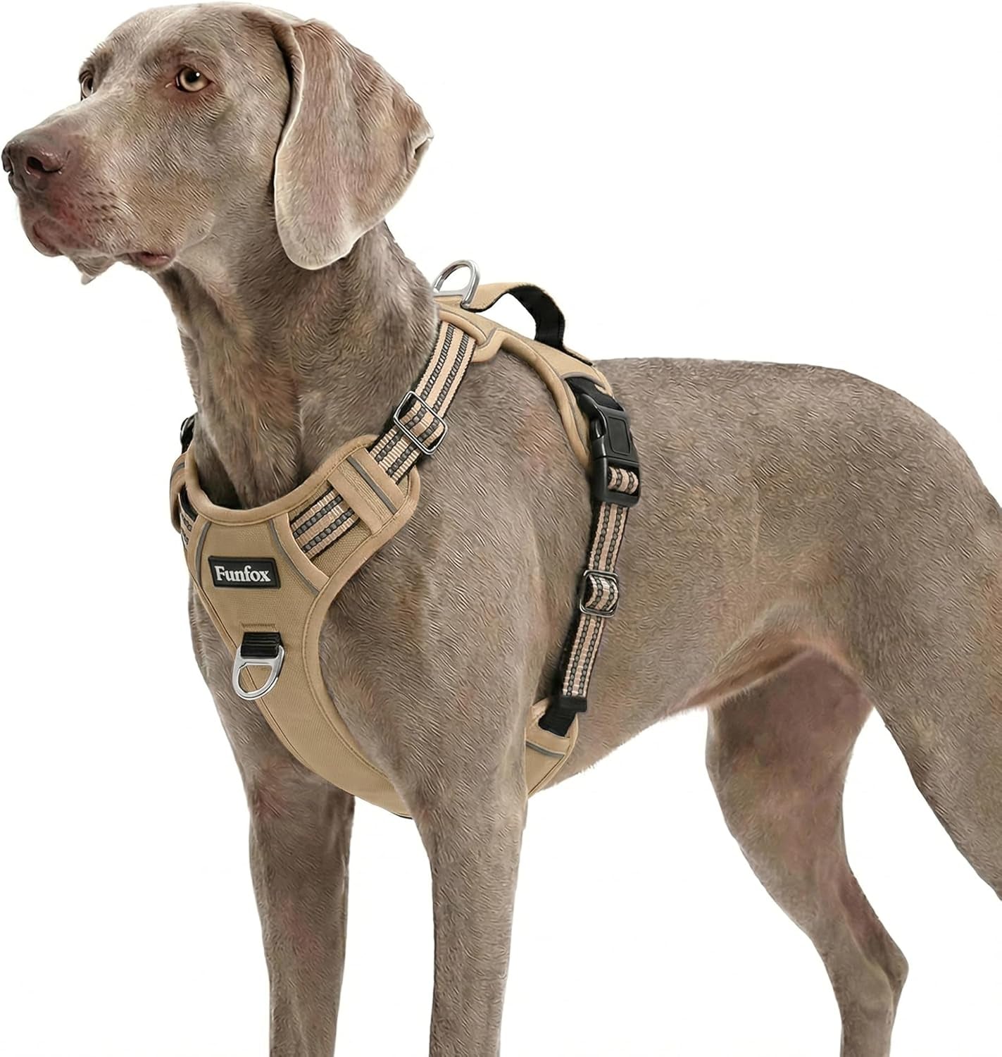 funfox-dog-harness-medium-sized-dog-vertical-handle-easy-control-no-pull-pet-vest-adjustable-with-2-leash-clips-soft-material-reflective-safe-night-walking-for-small-medium-large-breed-black-m