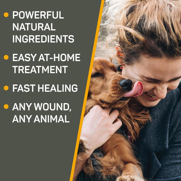Silver Honey Hot Spot & Wound Care Pet First Aid Ointment, 2 Oz Tube | Manuka Honey, Microsilver BG, Dog, Cat, Small Animal, Fast-Acting Results, at Home Treatment, Thick, Creamy, Antibiotic-Free2