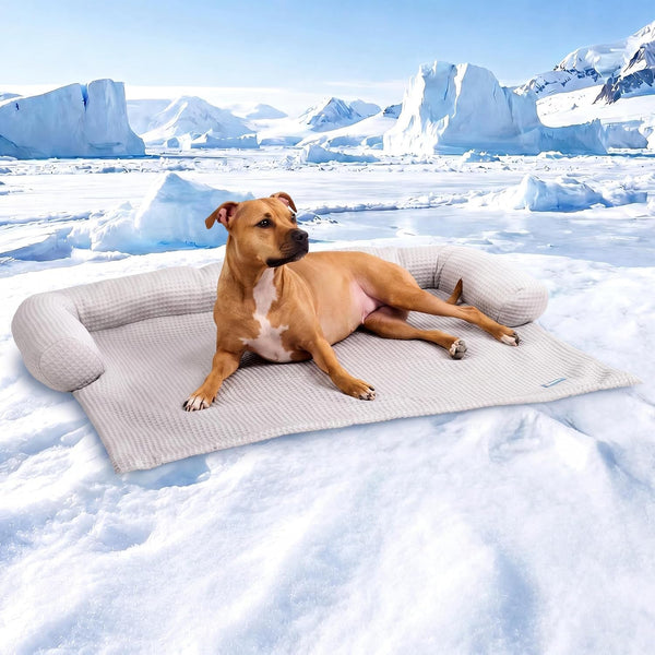 Spark Paws Cooling Couch Cover Dog Bed, Furniture Protector Mat, Non-Toxic Washable Pet Cooling Pad for Large & Small Dog - Hearts Blue - Size M16