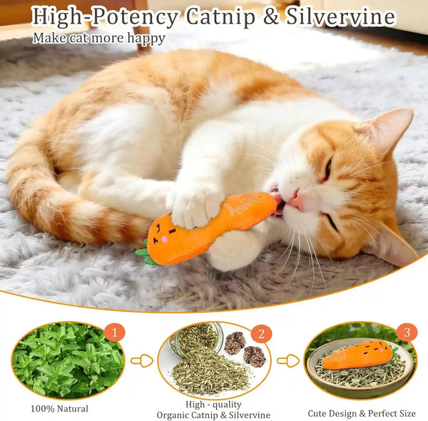 ETEKYER Catnip Cat Toys, 5 Pack, Plush Catnip Toys for Indoor Cats Kitten, Interactive Cat Nip Kitty Kicker Chew Safe Teeth Cleaning Toys, Fun Carrot Vegetable Shape2