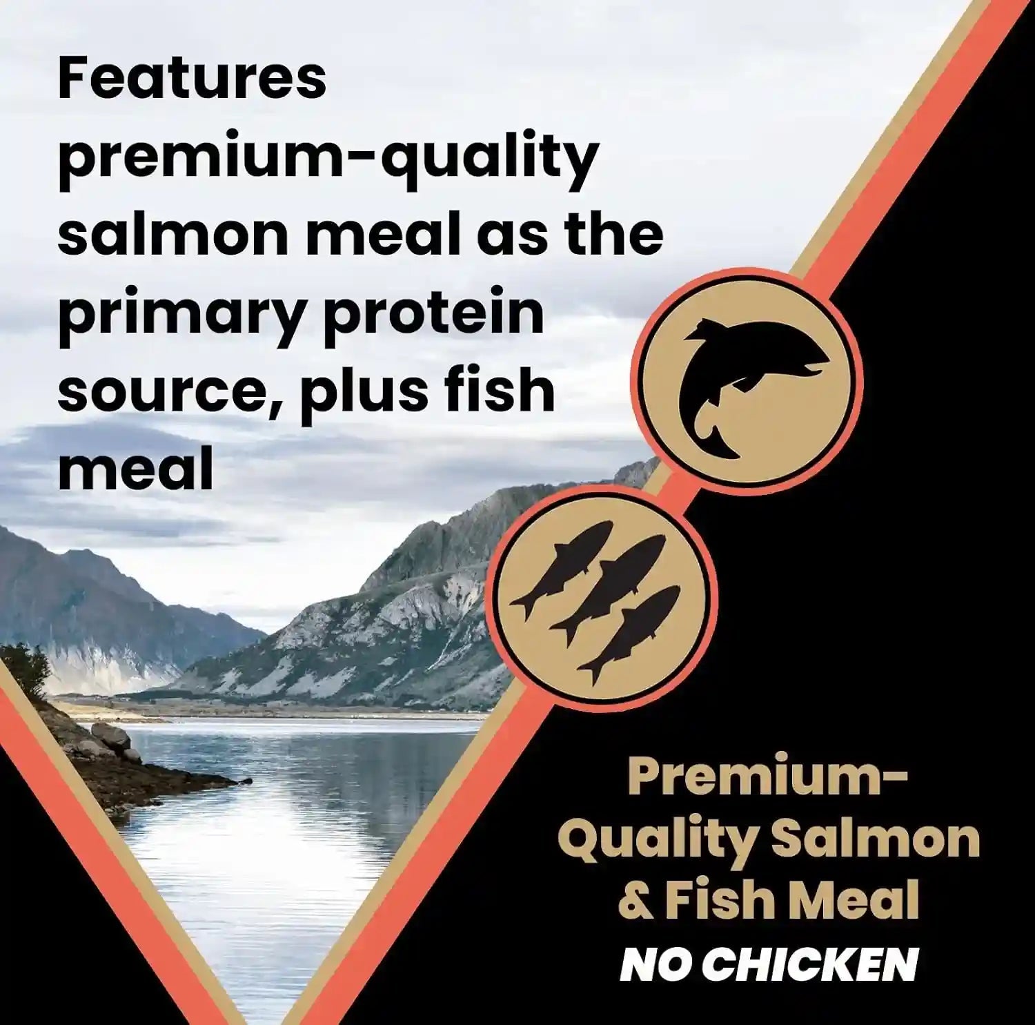 victor-super-premium-dog-food-sensitive-skin-and-stomach-salmon-meal-brown-rice-recipe-dry-kibble-gluten-free-no-chicken-ideal-for-dogs-with-allergies-adult-and-puppy-food-5-lb