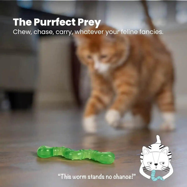 Petstages Orkakat Wiggle Worm Dental Catnip Cat Chew Toy6