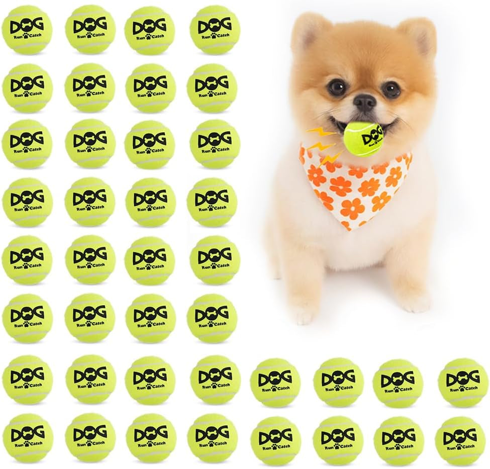 insum-small-tennis-balls-for-dogs-2-inch-20-pack-squeaky-dog-balls-built-in-squeaker-durable-sgs-non-toxic-test-mini-tennis-balls-for-small-breeds-with-mesh-bag