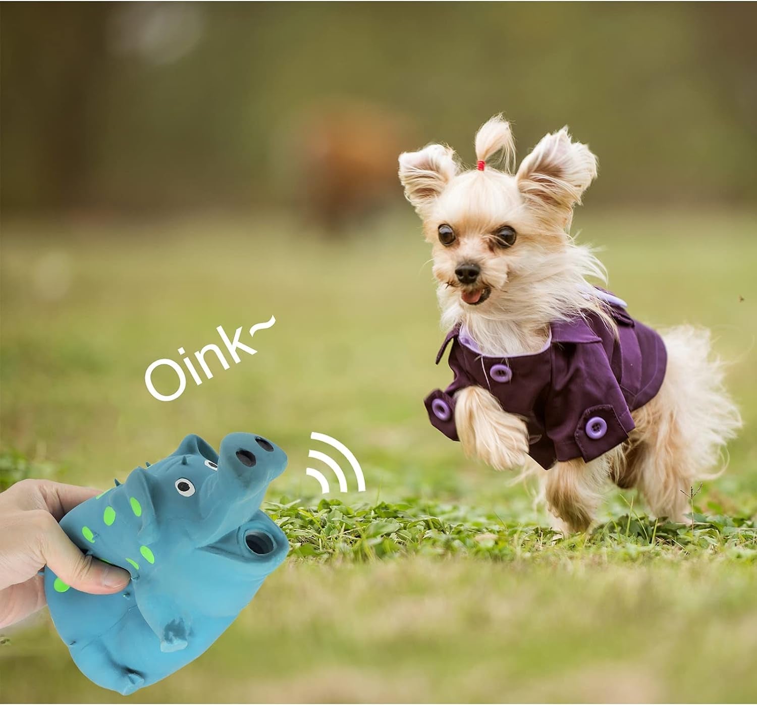 andiker-dog-squeaky-toy-dots-latex-dog-chew-toys-with-a-oinks-sound-squeaker-grunting-pig-dog-toy-durable-self-play-8-dogs-squeeze-toy-for-dental-biting-chasing-to-kill-boring-time-blue
