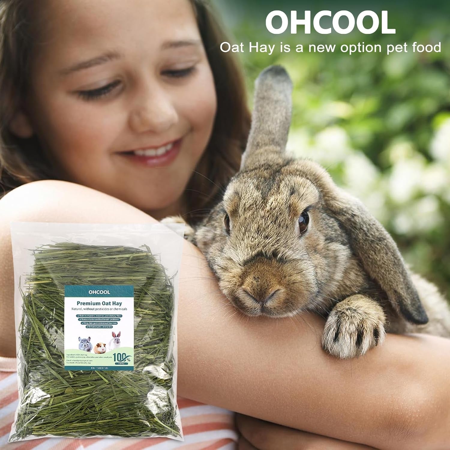 premium-oat-hay-1-1lb-small-pet-feed-premium-dust-free-natural-green-oat-hay-suitable-for-rabbits-guinea-pigs-chinchillas-hamsters-gerbils