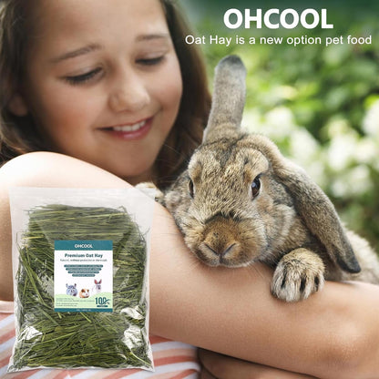 Premium Oat Hay, 1.1LB Small Pet Feed | Premium Dust Free Natural Green Oat Hay, Suitable for Rabbits, Guinea Pigs, Chinchillas, Hamsters, Gerbils4