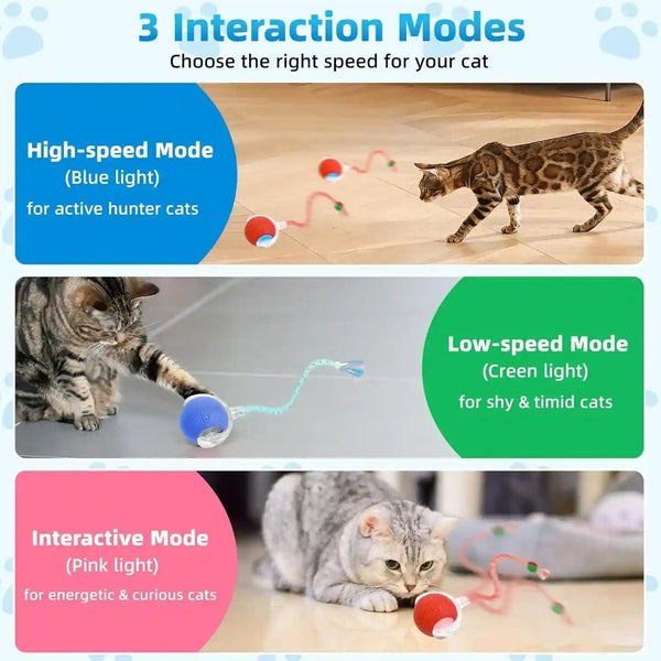 Interactive Cat Toys for Indoor Cats, Automatic Kitten Toys for Bored Indoor Adult Cats, Smart Kitten Rolling Ball Moving Balls Toy, Rechargeable Dog Cat Ball for Enrichment Exercise (Red+Blue)3