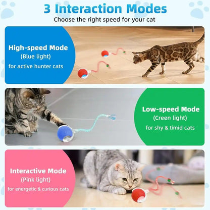 Interactive Cat Toys for Indoor Cats, Automatic Kitten Toys for Bored Indoor Adult Cats, Smart Kitten Rolling Ball Moving Balls Toy, Rechargeable Dog Cat Ball for Enrichment Exercise (Red+Blue)3